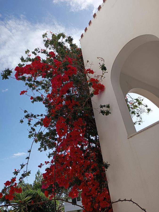 Castello Verde Plakias Buitenkant foto